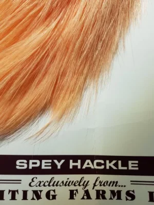 20181220_195615.webp 20181220_195615.webp