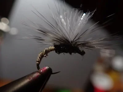 PC200072.webp PC200072.webp