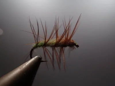 PC210085.webp PC210085.webp