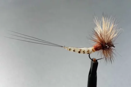 20170807_181806.webp 20170807_181806.webp