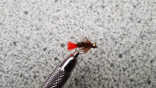 20181223_122827.webp 20181223_122827.webp