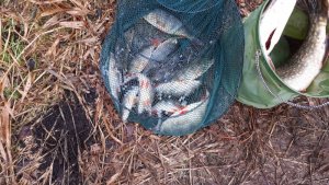 IMG-20181223-WA0003.jpg IMG-20181223-WA0003.jpg