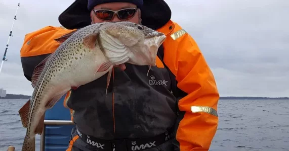 20181228_192628.webp 20181228_192628.webp