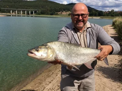 CIKS8371.webp CIKS8371.webp