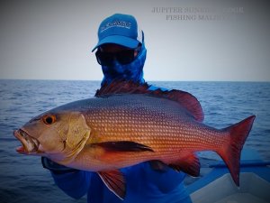 48967412_1911311275653654_694409818496040960_n (1).jpg