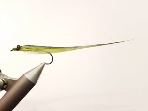 20190104_182857.jpg 20190104_182857.jpg