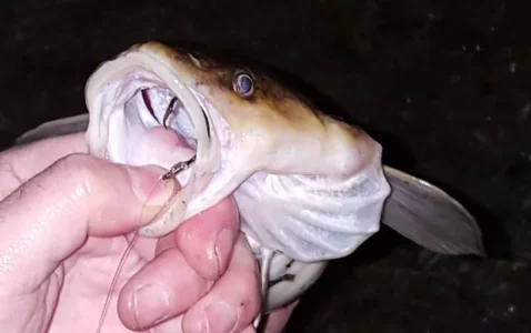 20190105_220753.webp 20190105_220753.webp