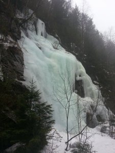 20130415_094309.jpg