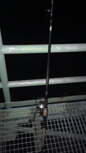 IMG-20190106-WA0003.jpg