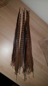 Fasanenstoß_20190108_171908.jpg Fasanenstoß_20190108_171908.jpg