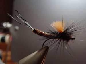 P1110230.JPG P1110230.JPG