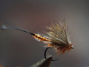 P1120232.JPG P1120232.JPG