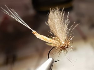 20181130_181004.jpg 20181130_181004.jpg