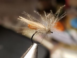 20181130_173814.jpg 20181130_173814.jpg