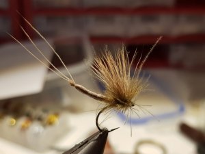 20190112_114529.jpg 20190112_114529.jpg