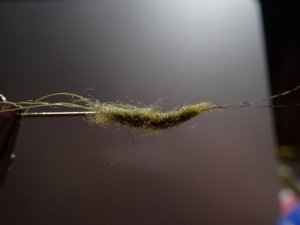 P1120233.JPG P1120233.JPG