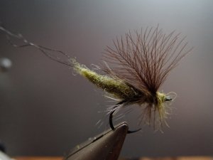 P1120234.JPG P1120234.JPG