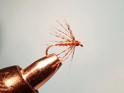 copper and patridge 20190112_161143.webp