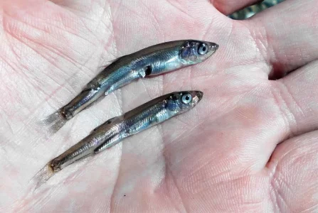 DSCI3569-2.webp DSCI3569-2.webp