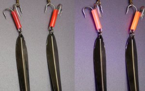 IMG_0299-2-3.jpg IMG_0299-2-3.jpg