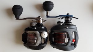 IMG-20190121-WA0005.jpeg IMG-20190121-WA0005.jpeg