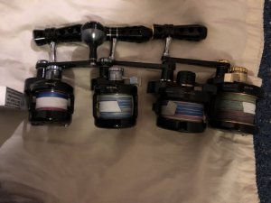 62EAE890-D29E-4ABD-8029-3A2FB5B6C0C5.jpeg 62EAE890-D29E-4ABD-8029-3A2FB5B6C0C5.jpeg