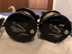 AA8C91D9-07F2-4735-8A1B-301D7A860ACD.jpeg AA8C91D9-07F2-4735-8A1B-301D7A860ACD.jpeg