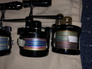 6D165AA8-A9A4-422D-B84B-E6A2896A6069.jpeg 6D165AA8-A9A4-422D-B84B-E6A2896A6069.jpeg