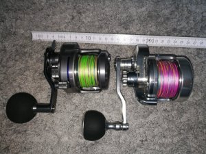 IMG_20190122_193656.jpg IMG_20190122_193656.jpg