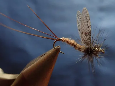 P1240292.webp P1240292.webp