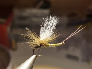 20180326_204132.jpg 20180326_204132.jpg