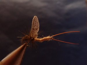 P1240296.JPG P1240296.JPG