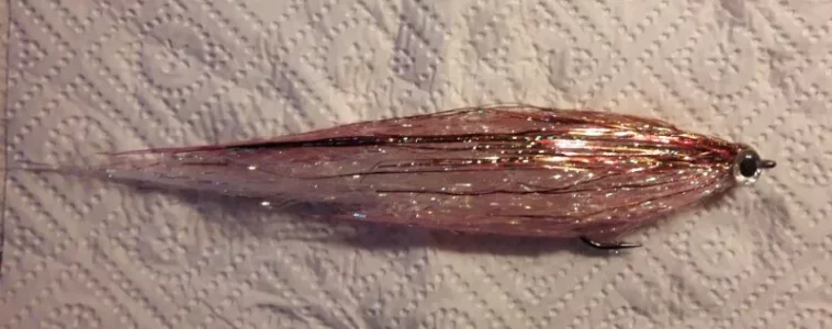 20190119_163723.webp 20190119_163723.webp