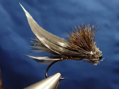 P1250301.webp P1250301.webp