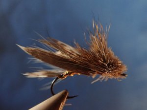 P1250307.JPG P1250307.JPG