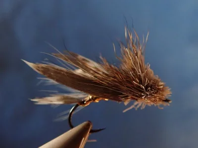 P1250307.webp P1250307.webp