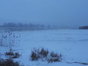 IMG-20190126-WA0000.jpg IMG-20190126-WA0000.jpg