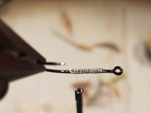 20190127_114023.jpg 20190127_114023.jpg