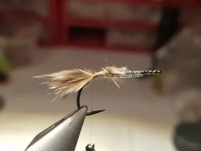 20190127_114220.webp 20190127_114220.webp