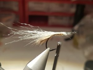 20190127_114645.jpg 20190127_114645.jpg