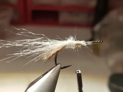 20190127_114737.webp 20190127_114737.webp