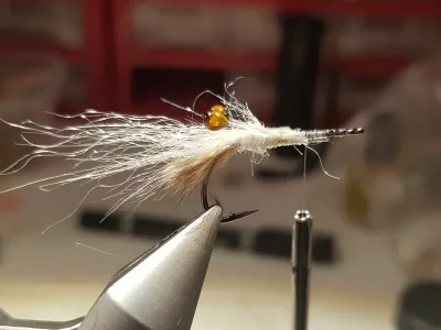 20190127_114935.webp 20190127_114935.webp