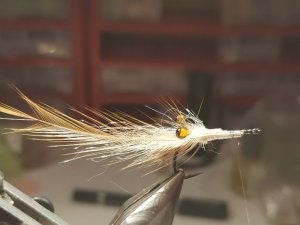 20190127_142153.jpg 20190127_142153.jpg