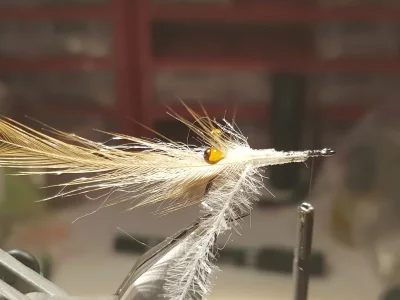 20190127_142229.webp 20190127_142229.webp