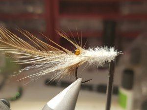 20190127_142456.jpg 20190127_142456.jpg