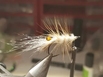 20190127_142656.webp 20190127_142656.webp