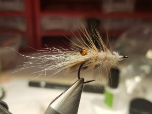 20190127_142820.jpg 20190127_142820.jpg