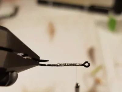 20190127_143944.webp 20190127_143944.webp