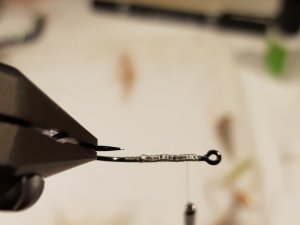 20190127_143944.jpg 20190127_143944.jpg