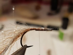 20190127_144049.jpg 20190127_144049.jpg